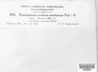 Pucciniastrum americanum image